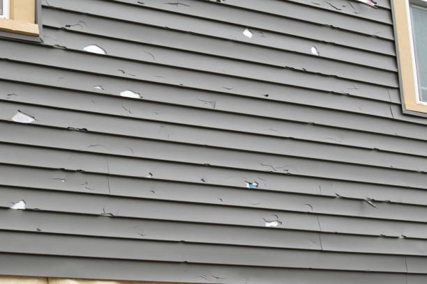 Best Custom Trim and Detailing for Siding  in USA